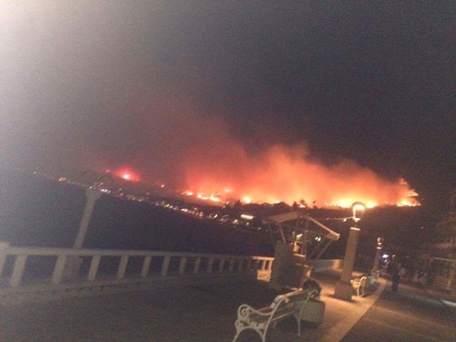 <p>I FYR OG FLAMME: Skogbrannen spredte seg raskt grunnet sterk vind.</p>