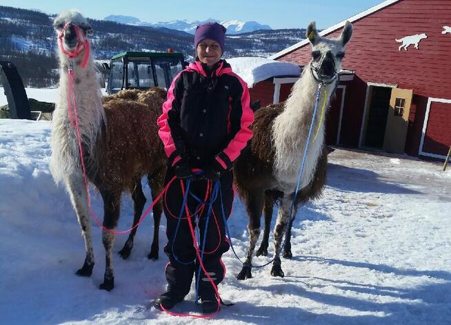 <p>KJÆLEDYR: Berit Aasnes Hofsøy koser seg med lamaene Reidar (2) og Bjarne (8). Foto: PRIVAT</p>